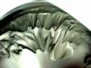 AE003d3.jpg